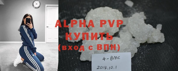 стаф Абаза