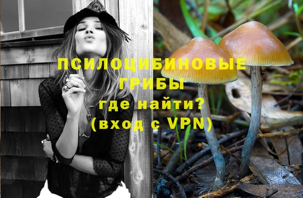 стаф Алексеевка