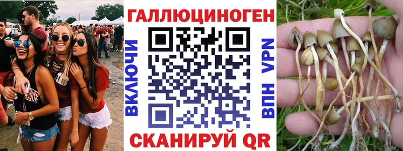 mega рабочий сайт  магазин    Гаврилов Посад  Псилоцибиновые грибы Psilocybine cubensis 